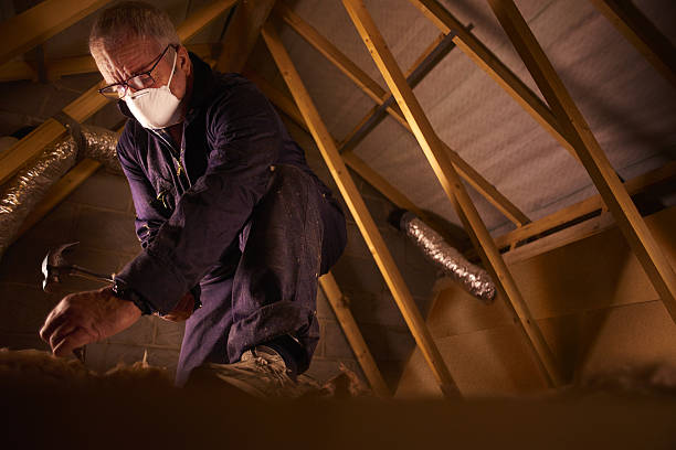 Trusted Calverton Park, MO Insulation Contractor Experts